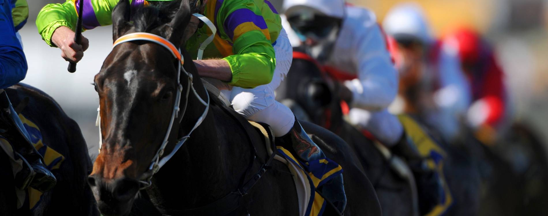 Galloping