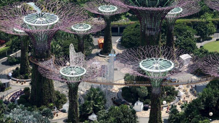 Gardens by the Bay