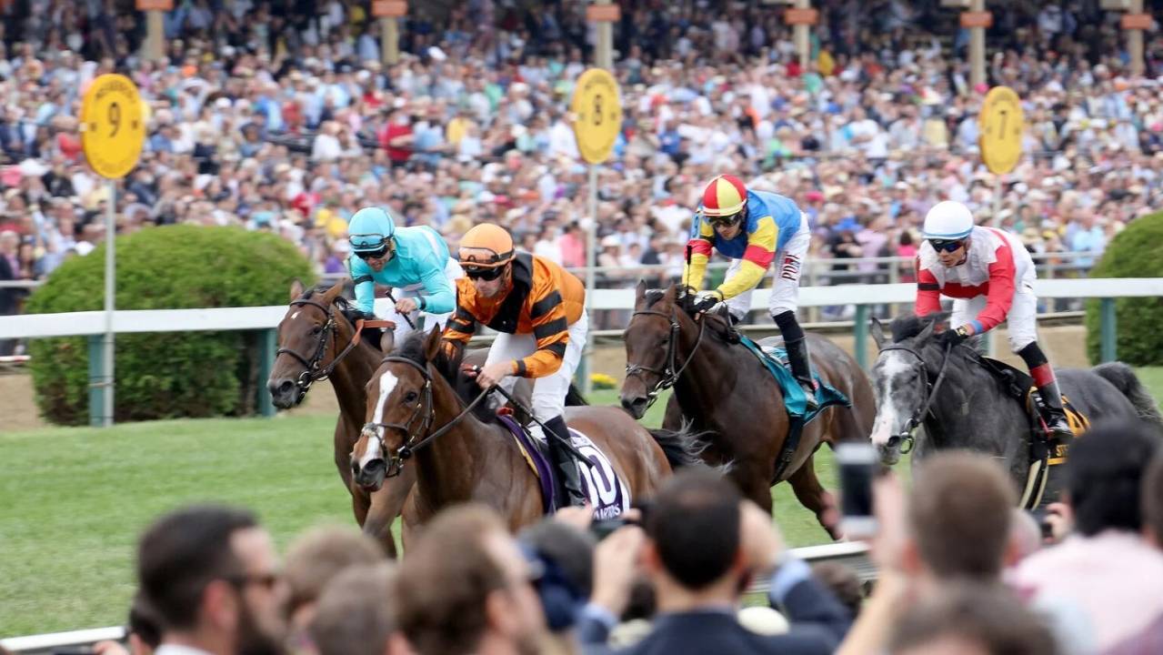 General Admission The Preakness Meet May 2025* Pimlico Race