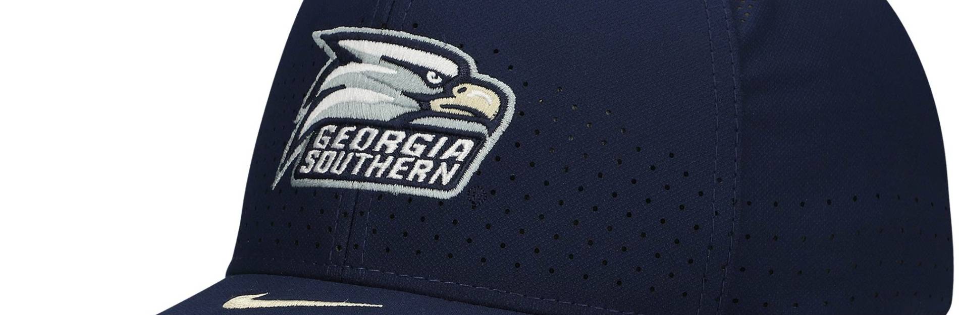 Georgia Southern Gear & Collectibles