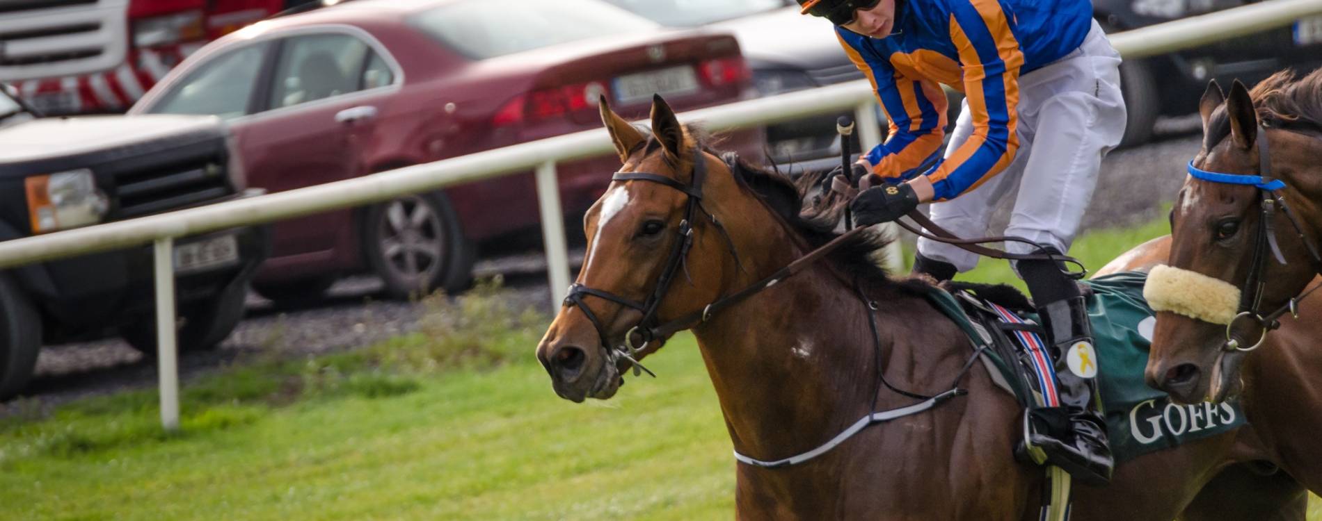 Gleneagles at Irish Champions Weekend