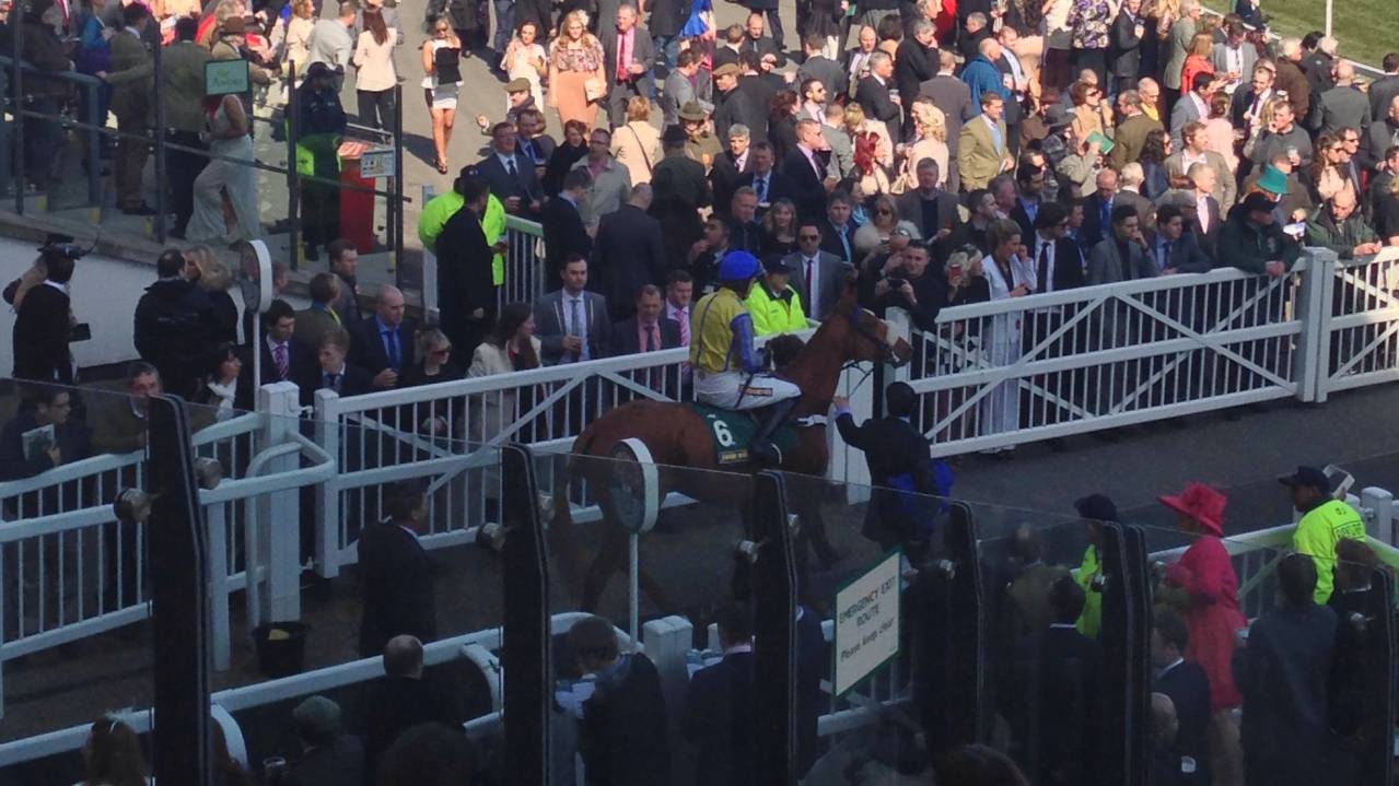 GN Course Entry from Parade