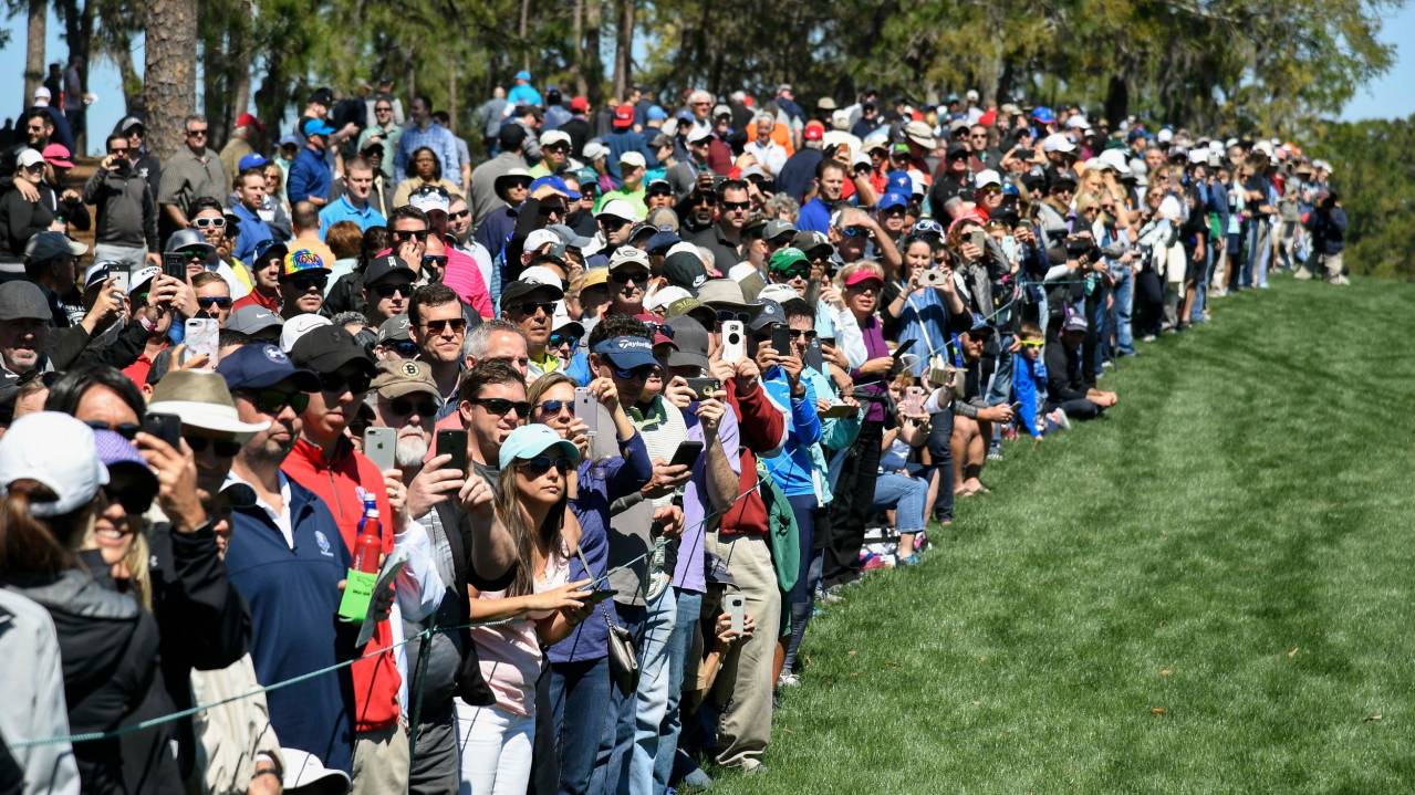 Golf Gallery