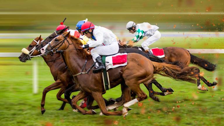 Qatar Goodwood Festival