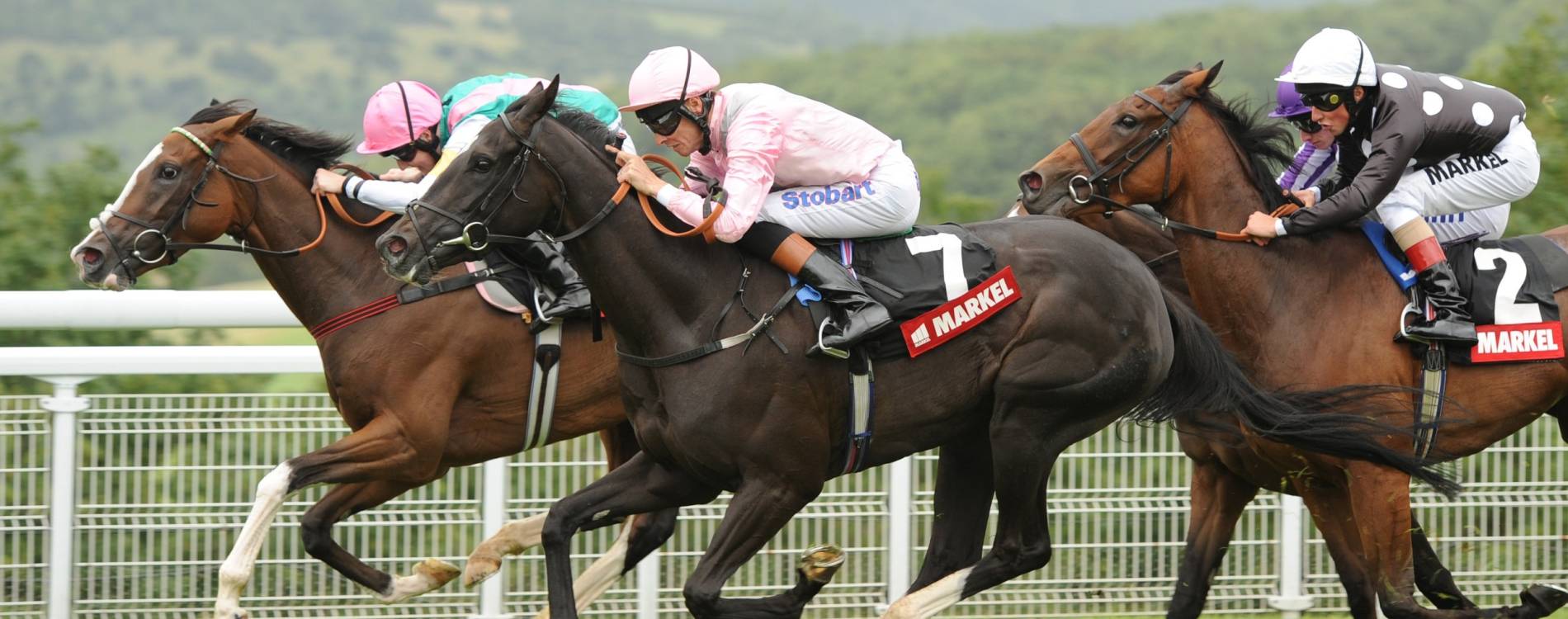 Goodwood racing
