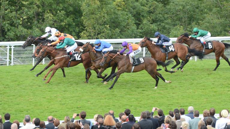Family Race Day