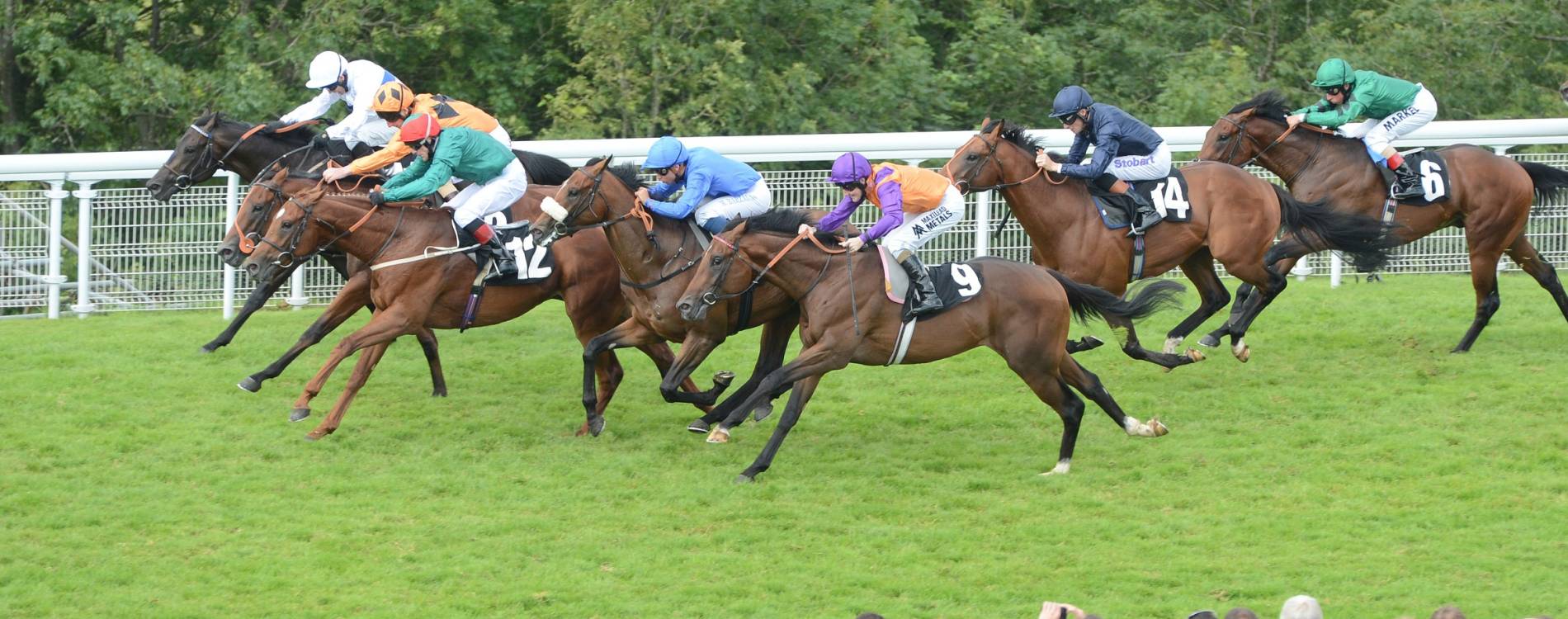 Goodwood racing
