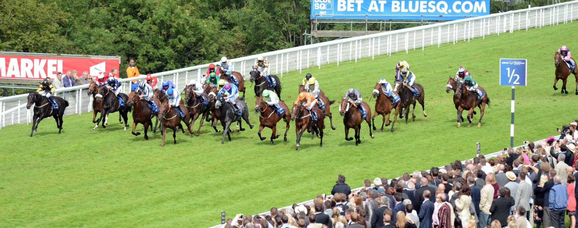 Midweek Racing Tickets 25 Sep 2024 Goodwood Racecourse Koobit