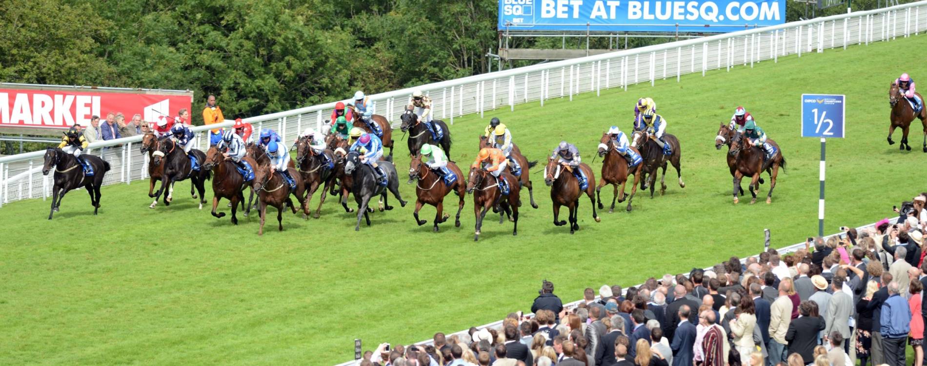 Midweek Racing Tickets 24 Sep 2025 Goodwood Racecourse Koobit