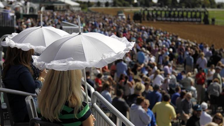 Grandstand Loge