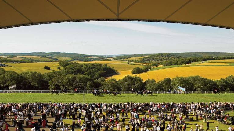 Grandstand View at Goodwood
