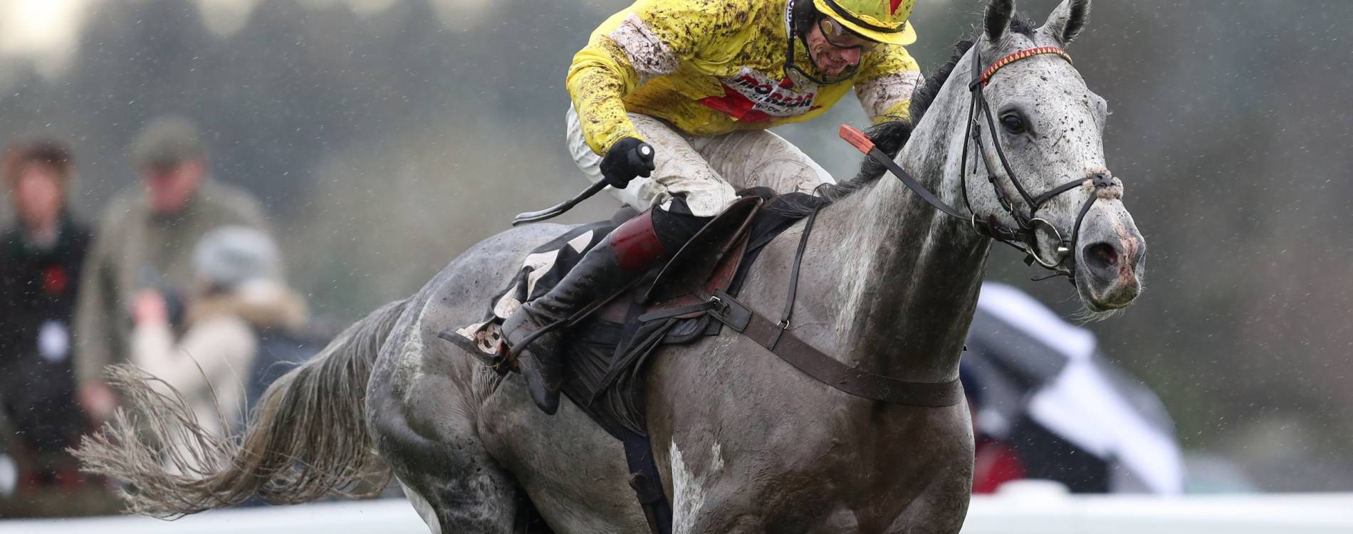 Haldon Gold Cup raceday