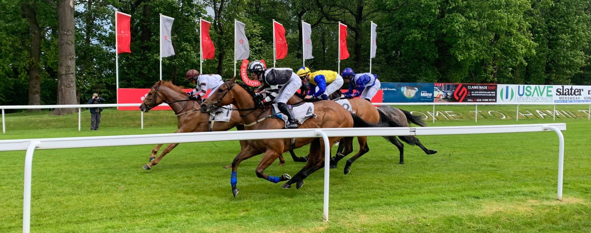 Hamilton Park finish