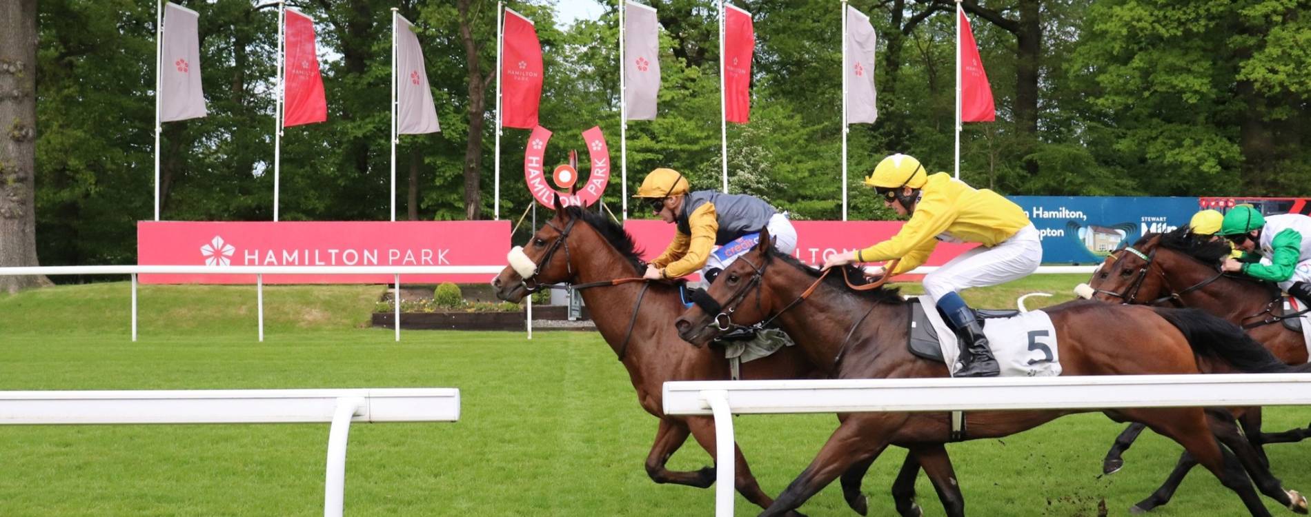 Hamilton Park racing