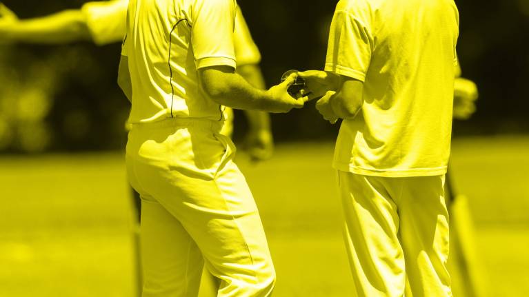 Hampshire CCC (Hawks)