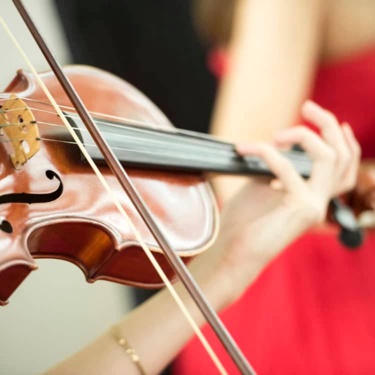 Haydn Trios and Quartets by Candlelight