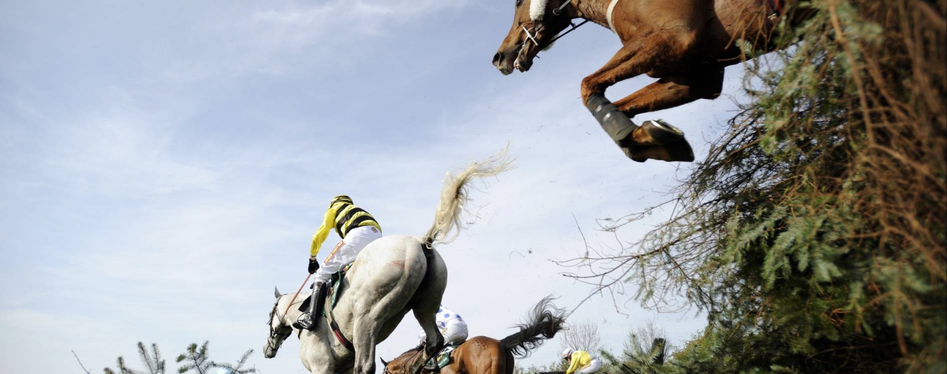 History Made by a Humble Jump Jockey