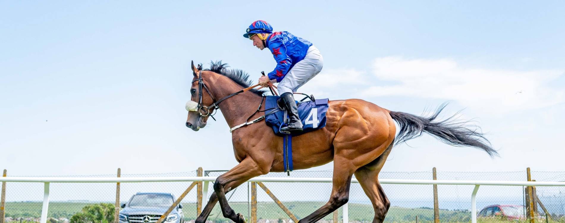 Horse and jockey at Brighton