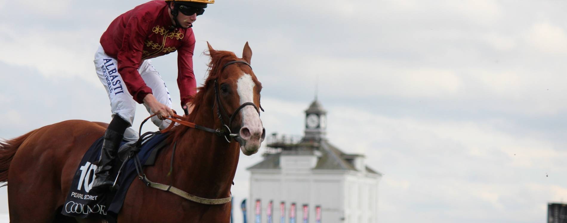 Horse and jockey at York