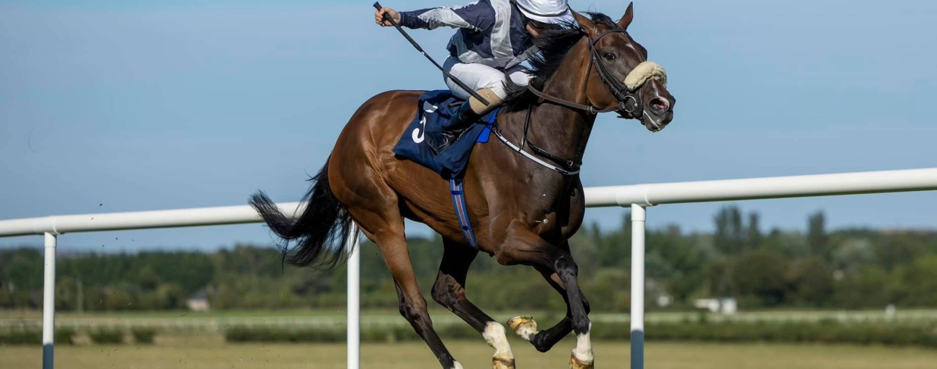 Lorna Brooke Chase Raceday