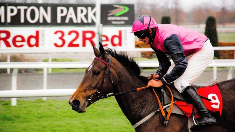 Coral Lanzarote Hurdle Day