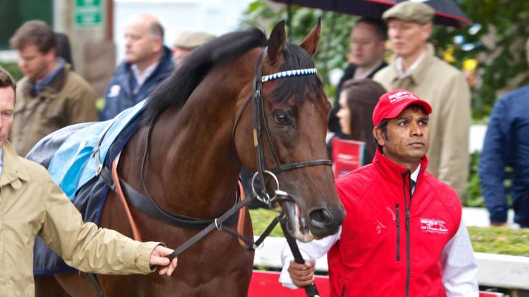 Dublin Racing Festival