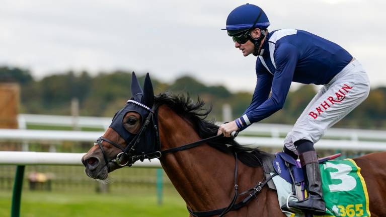 Cambridgeshire Meeting ft. Oktoberfest