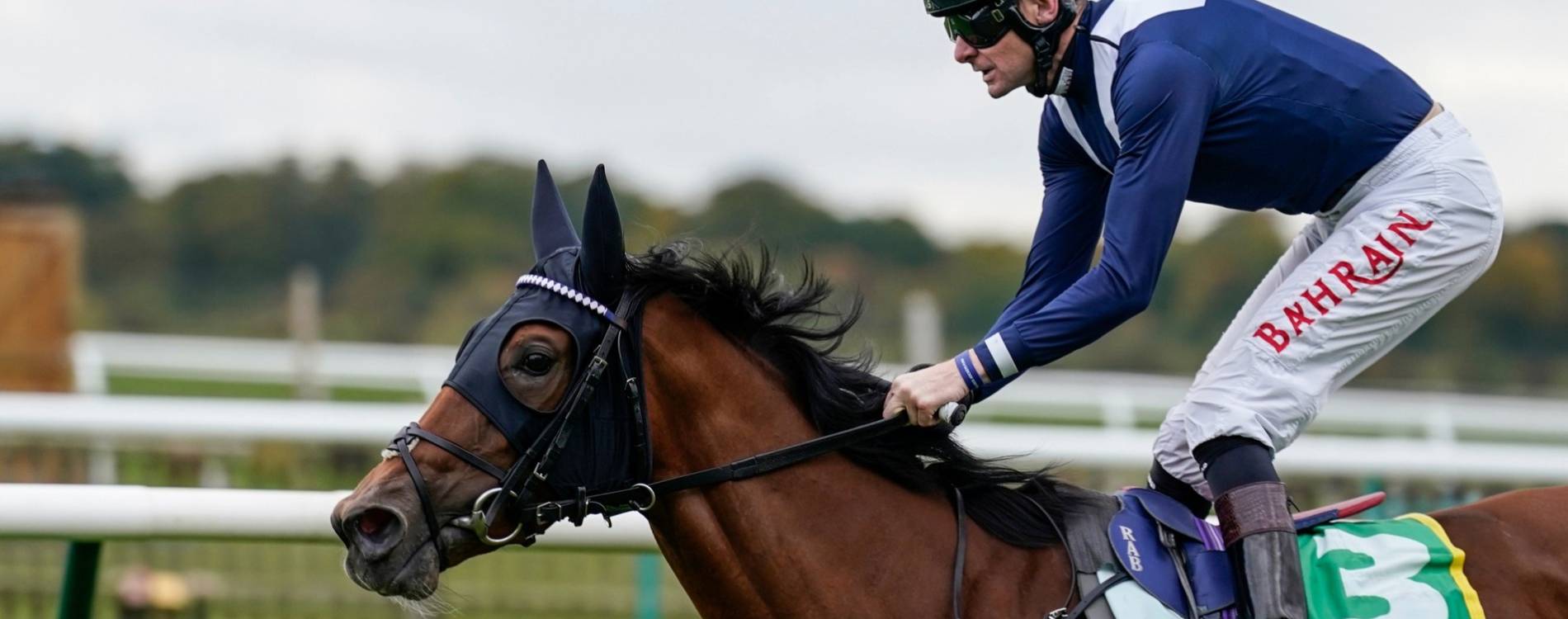 Horse at Rowley Mile
