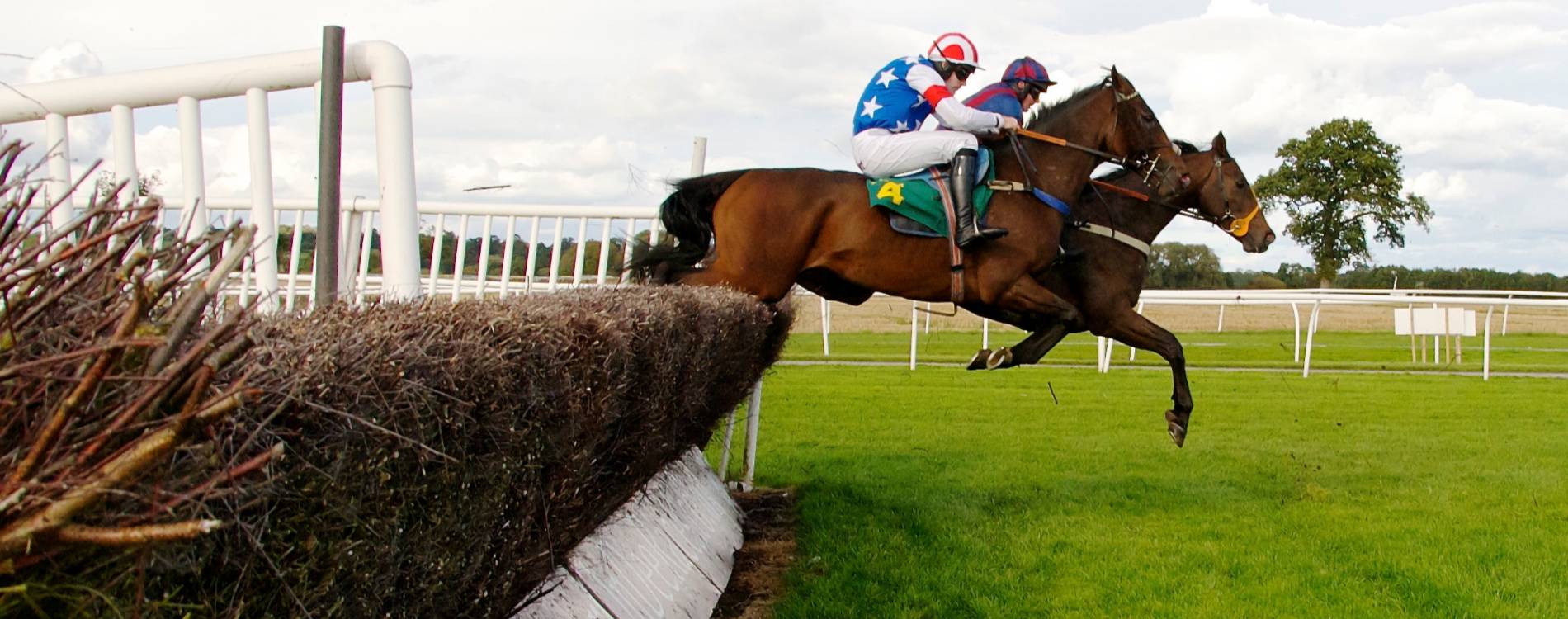 Horse clear steeplechase fence at Bangor-On-Dee
