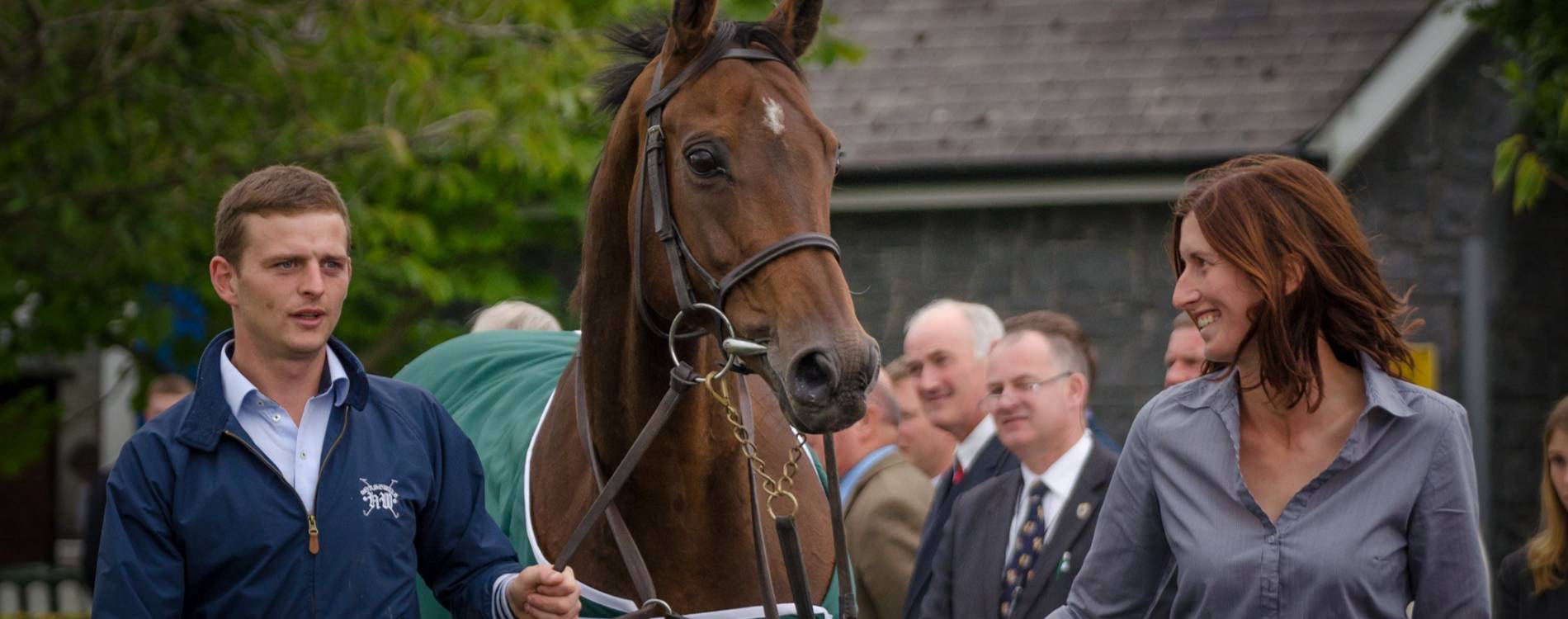 Horse in the Parade Ring