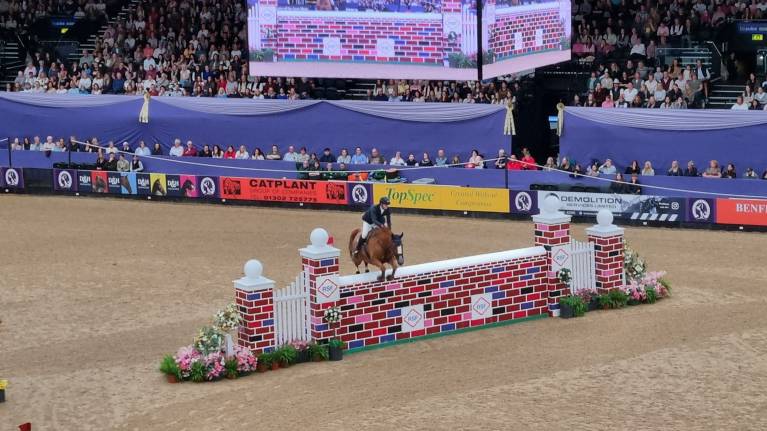 Horse of the Year Show