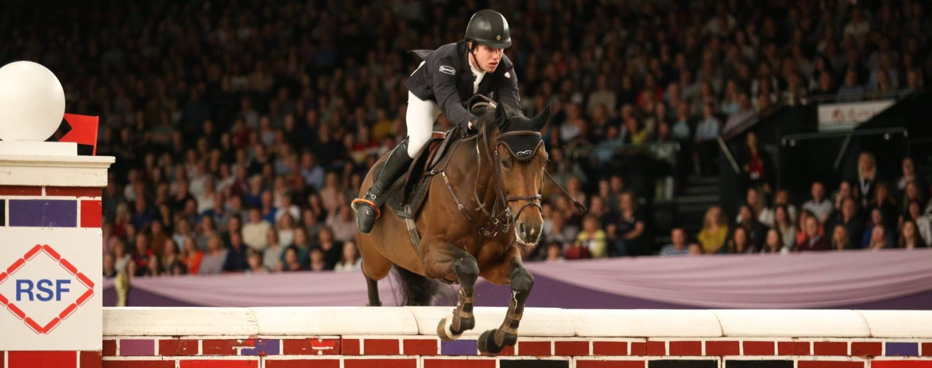 Horse of the Year Show