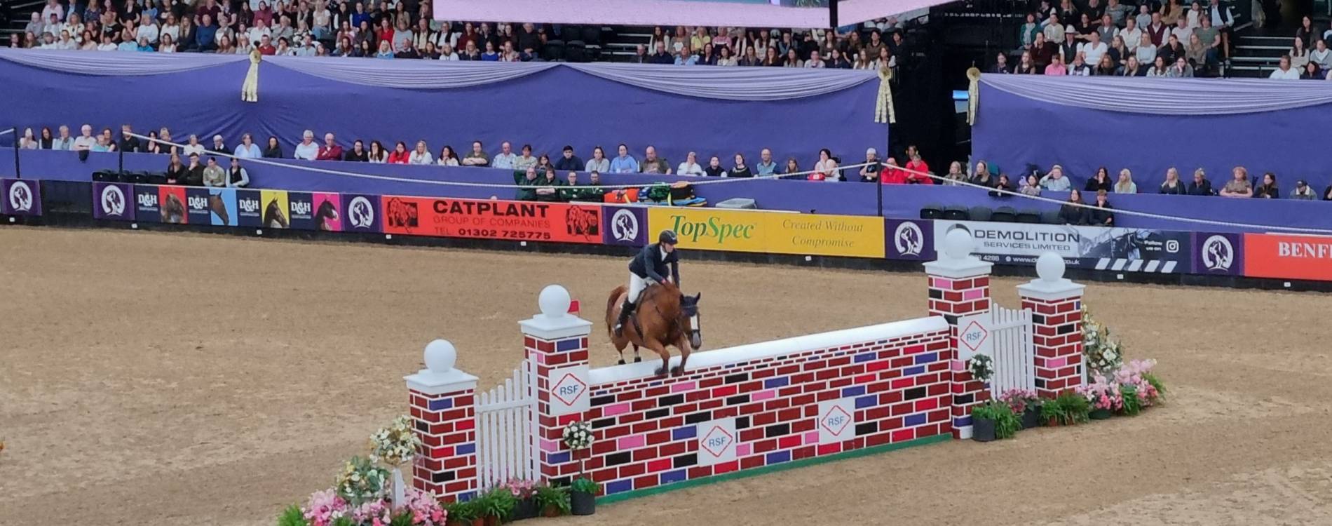 Horse of the Year Show