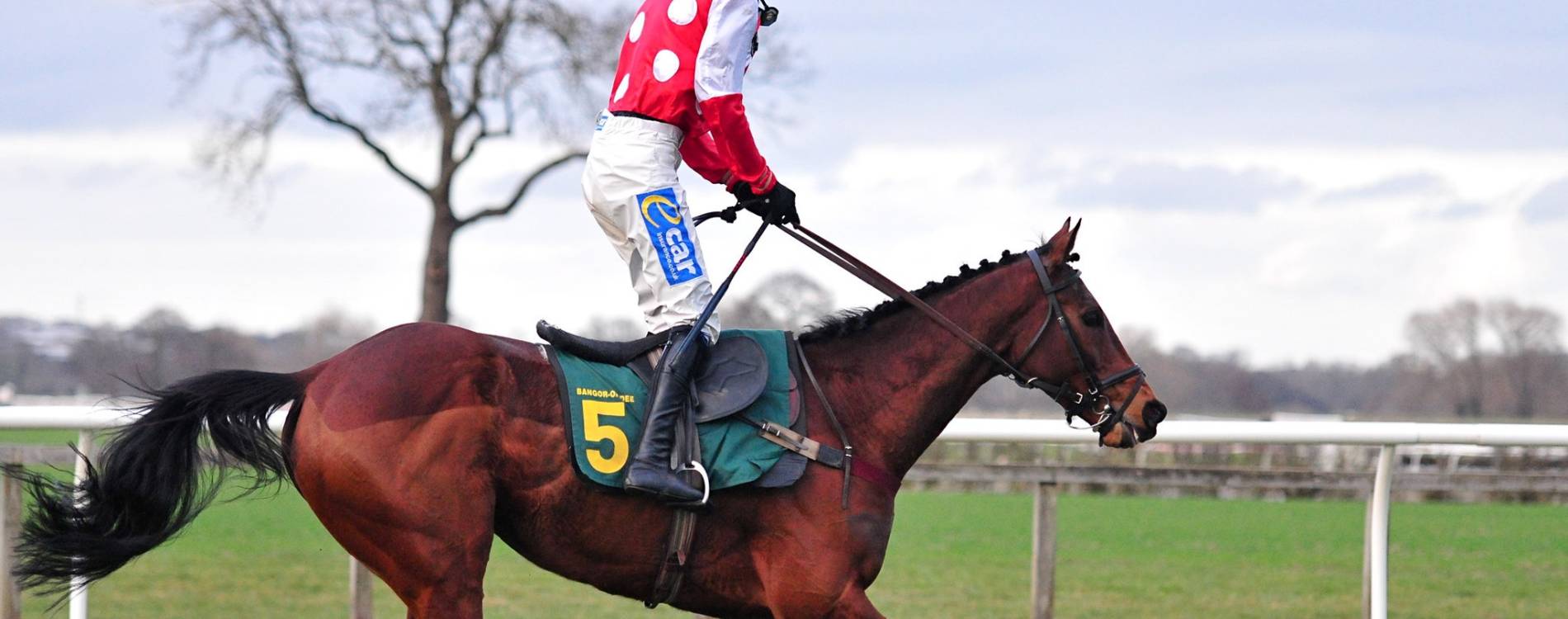 Horse racing