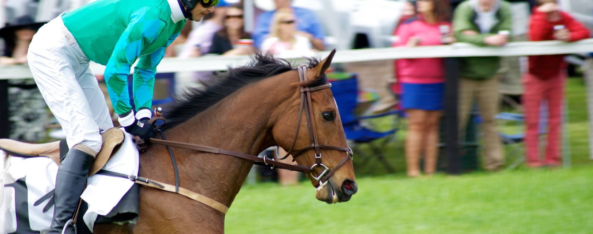 Horse racing