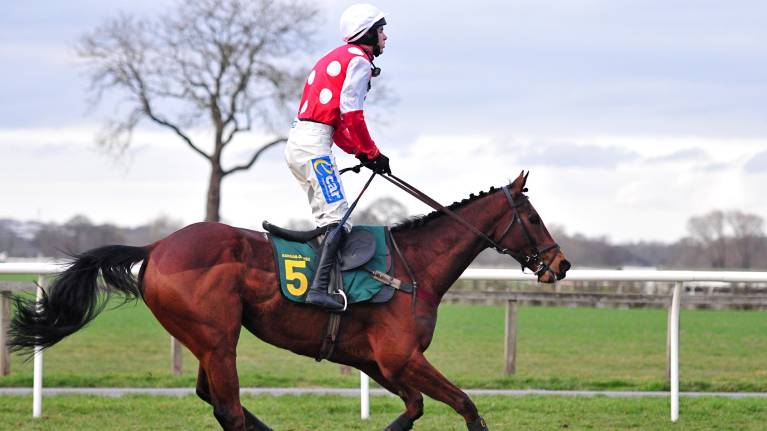 PricedUp Boxing Day Racing