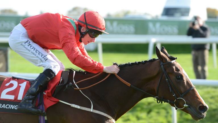 Return Of The Jumps Saturday