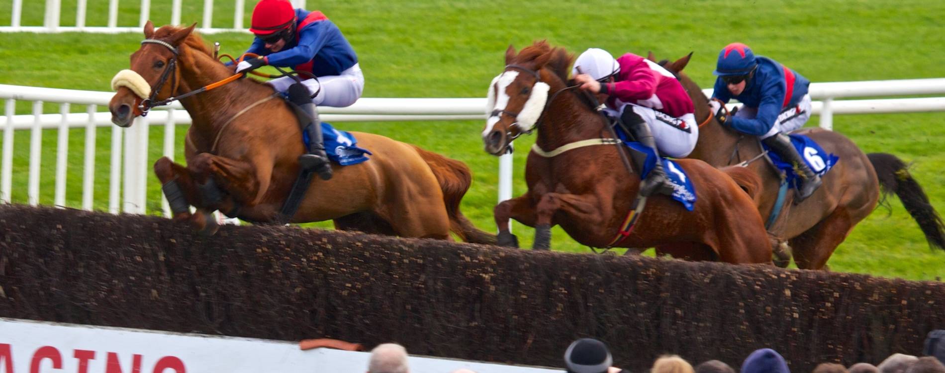 Horse Racing at Fairyhouse