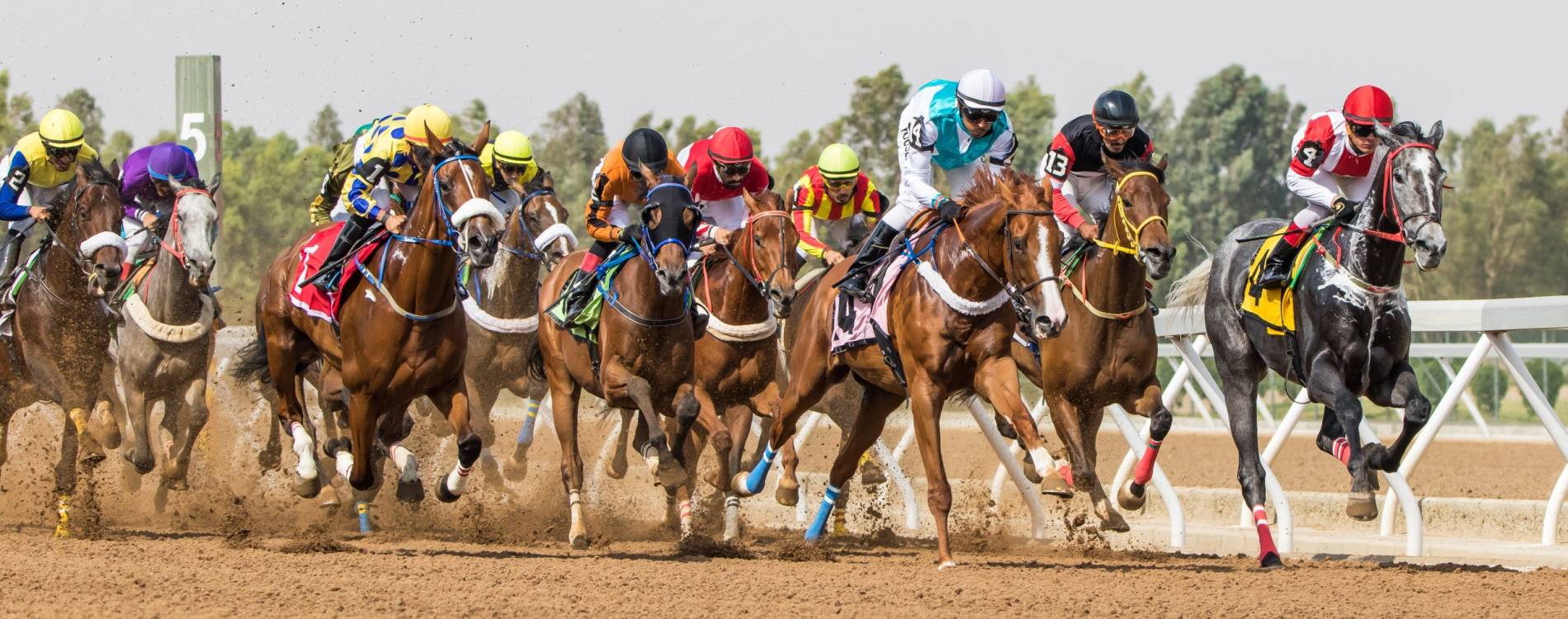 Horse racing at King Khalid Racecourse