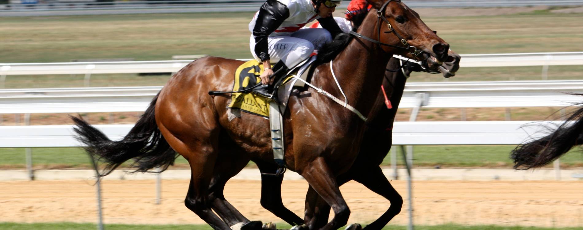 Horse Racing at Mornington Racecourse