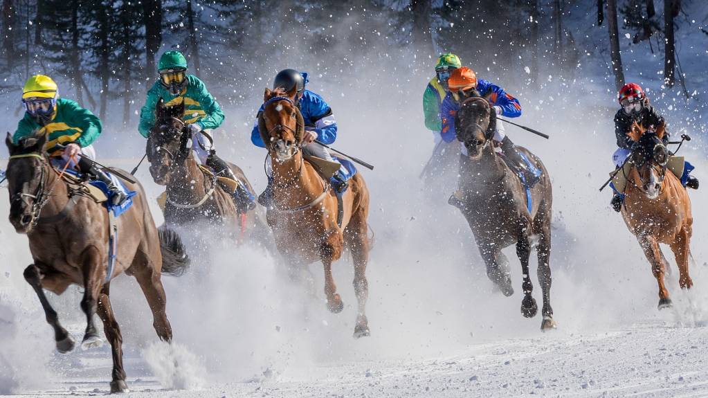 Horse racing in a White Turf event
