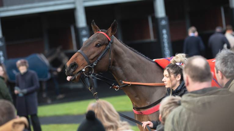 The Festive Jumps Raceday