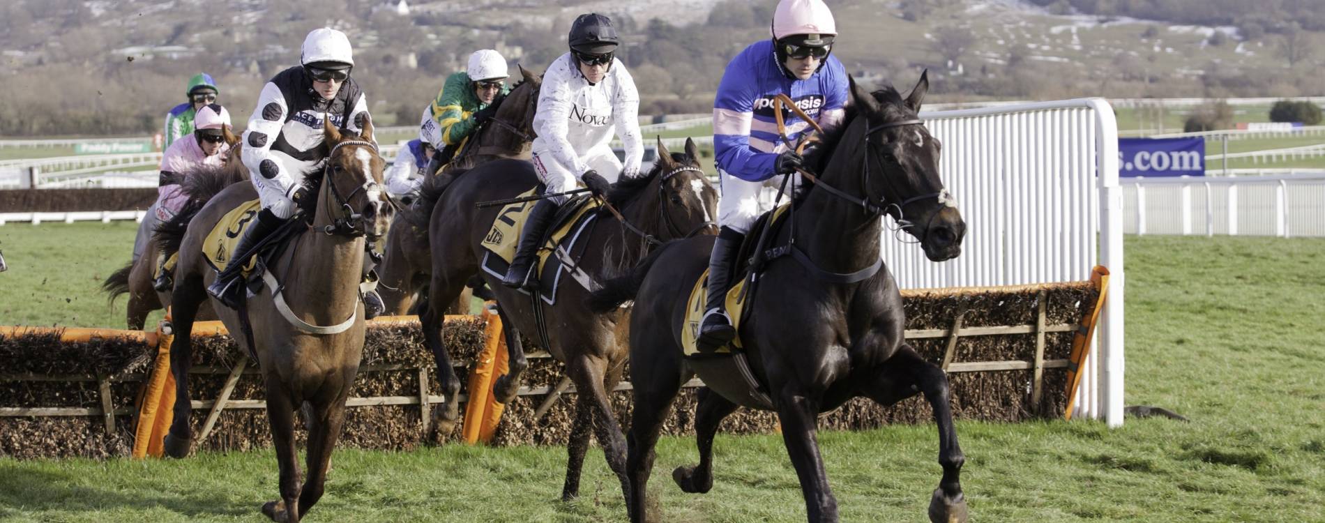 Horse tackle a fence at Festival Trials Day