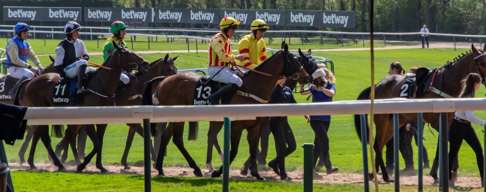 Horse walk at Haydock