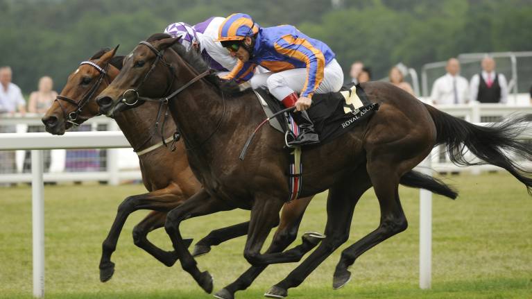 Virgin Bet November Handicap