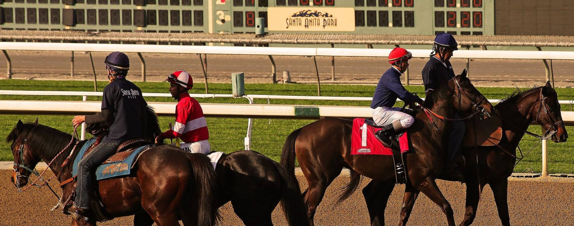 Horses at Santa Anita