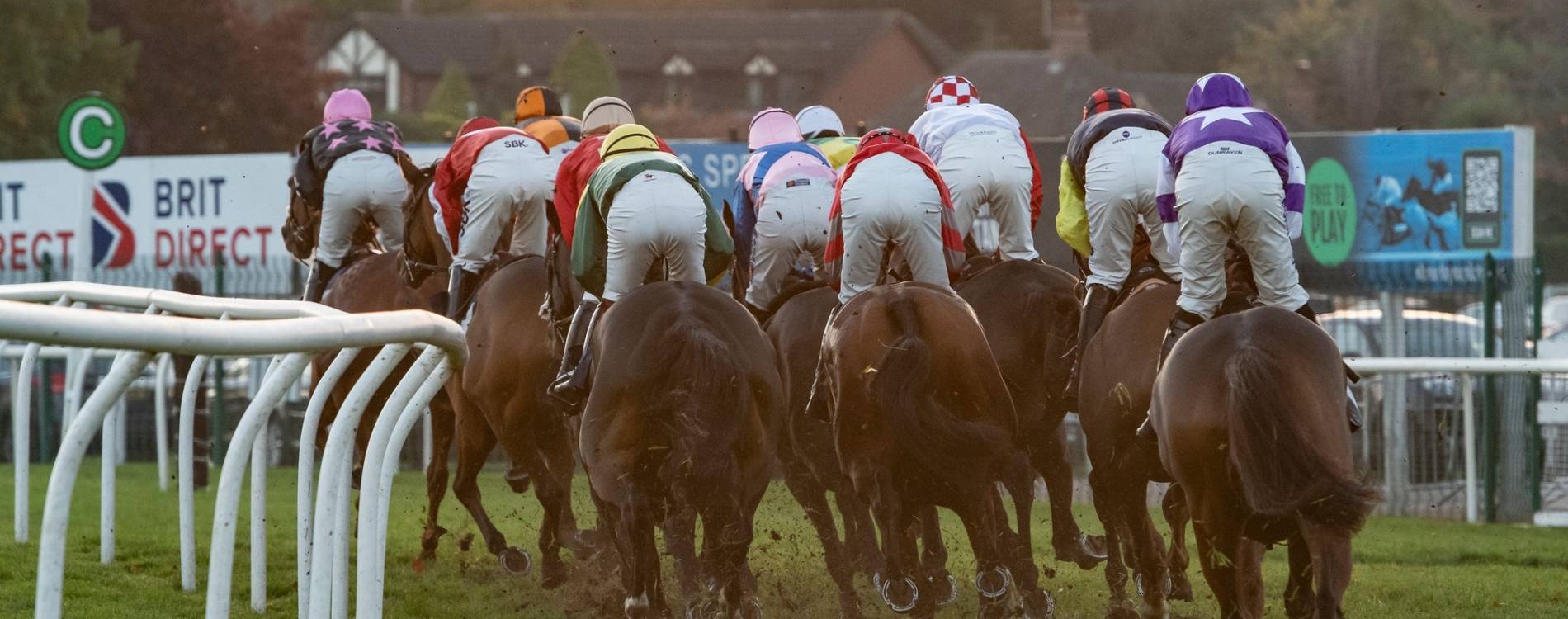 Winter Ladies Day Tickets 25 Jan 2025* Uttoxeter Racecourse Koobit