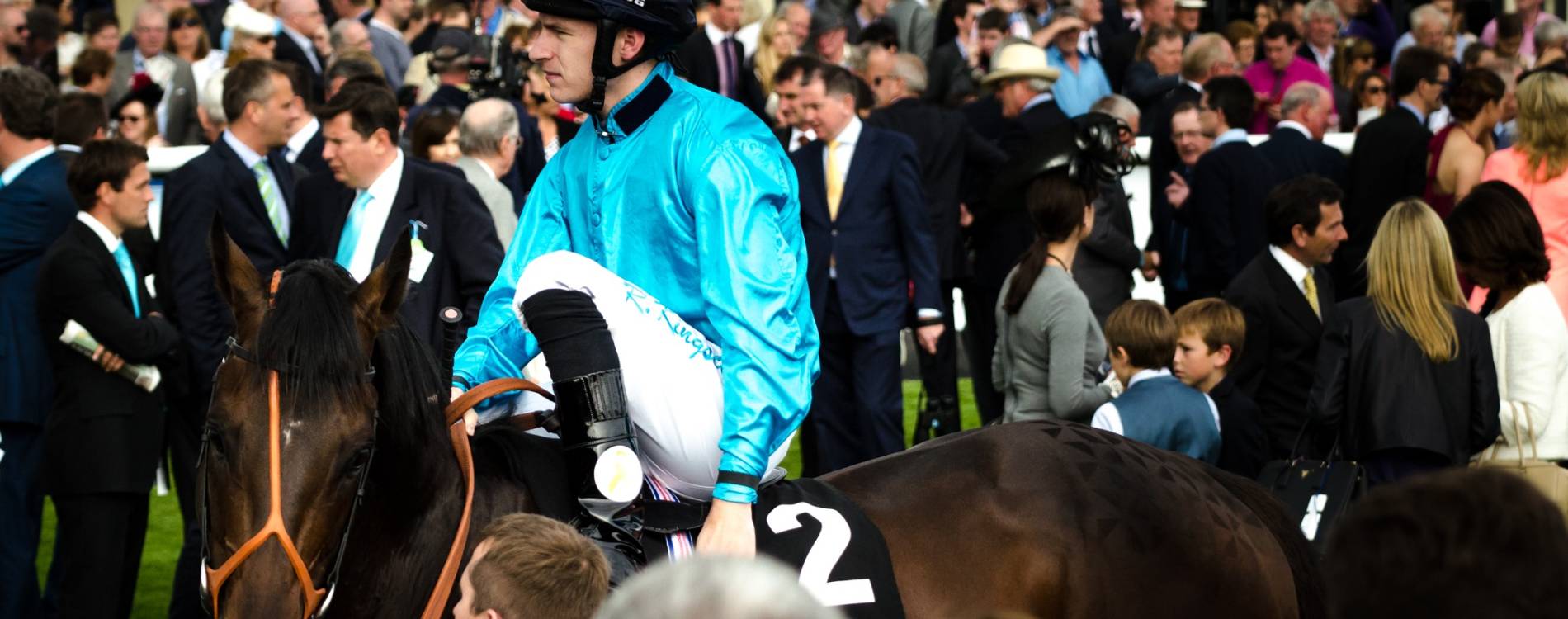 Horses get ready to race