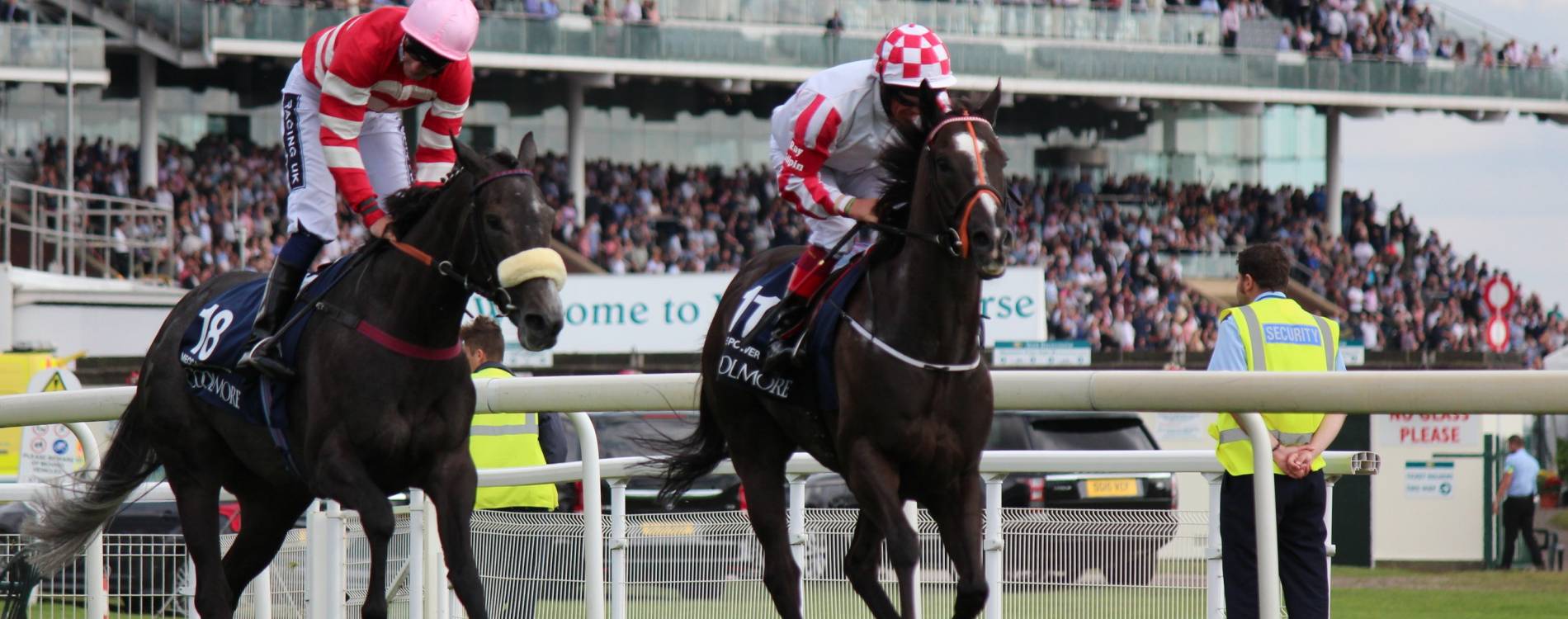 Horses in front of stands