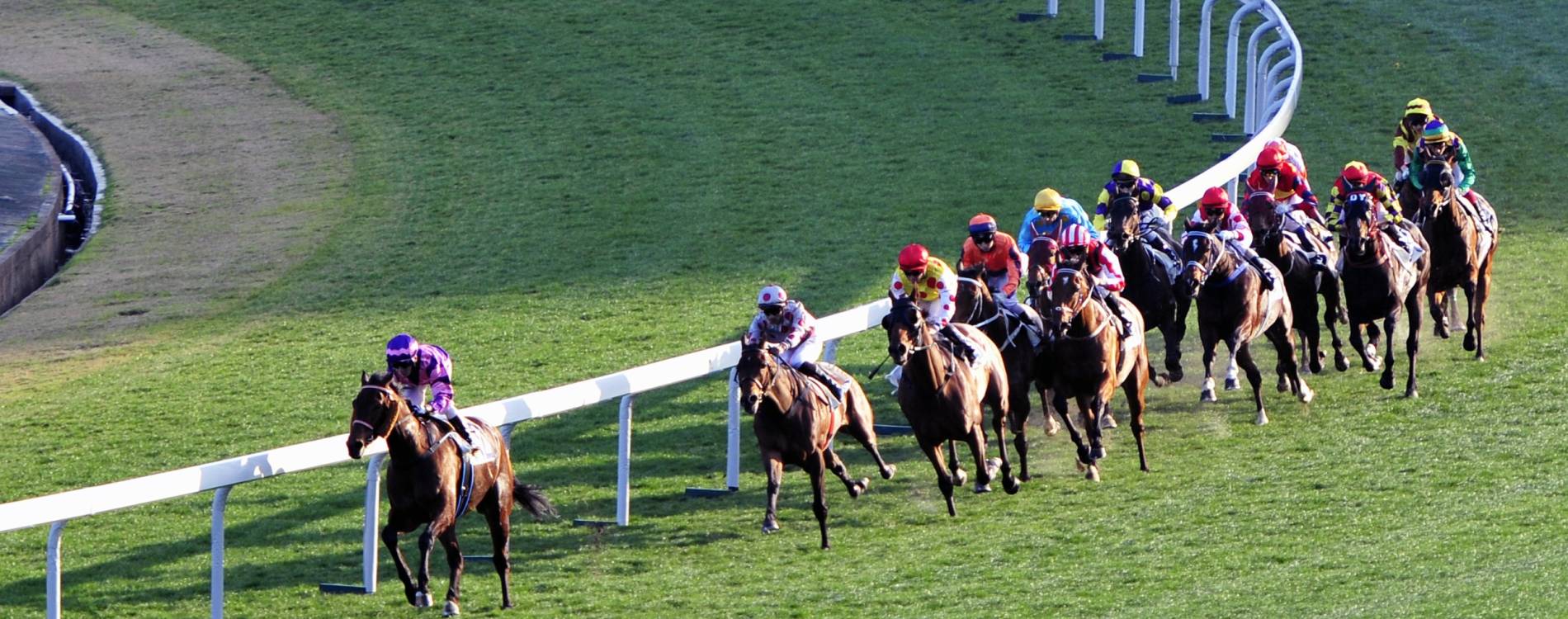 Horses make the turn during a race